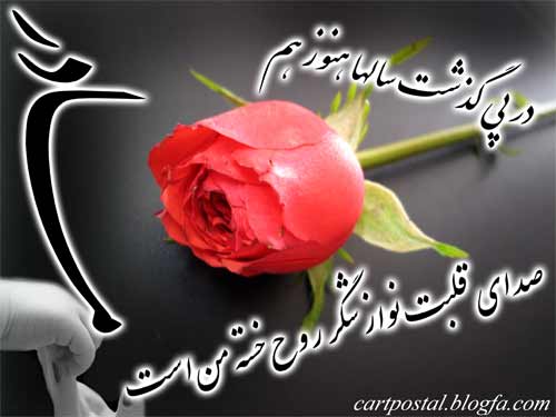 حسین سیب سرخی سبد سبد ستاره
